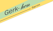 My Blog